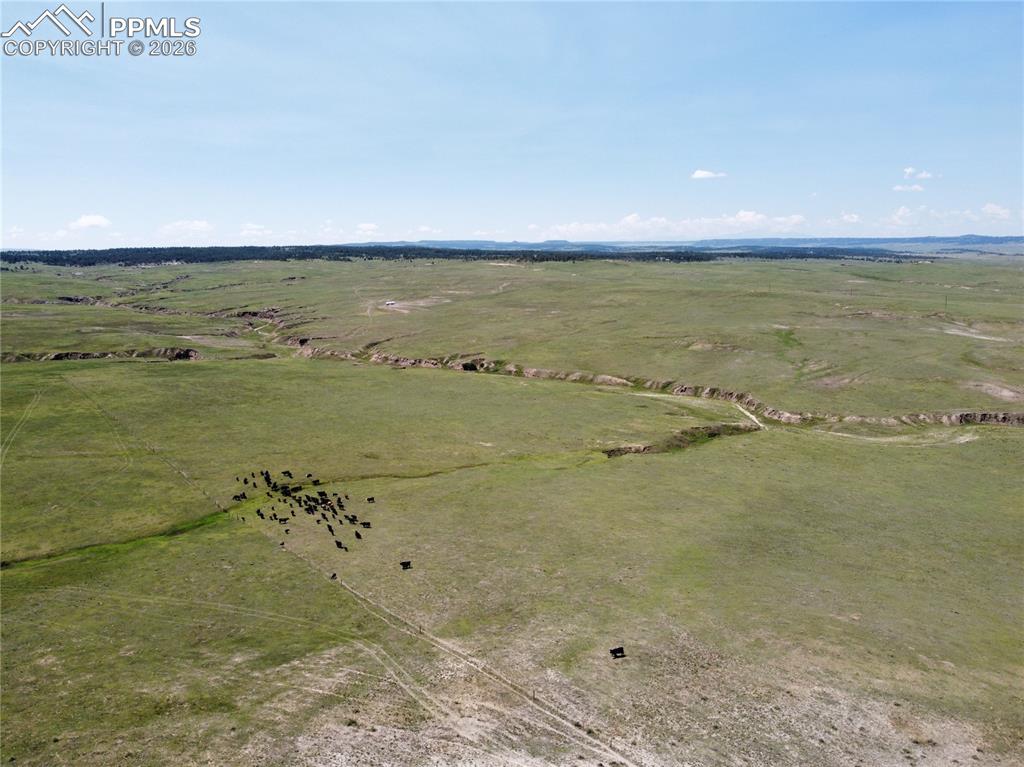 Lot 8 County Road 77 Calhan CO 80808