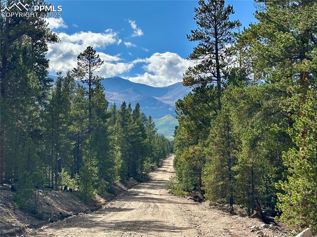 143 Fir Drive Leadville CO 80461