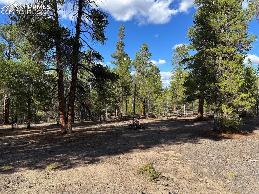 143 Fir Drive Leadville CO 80461