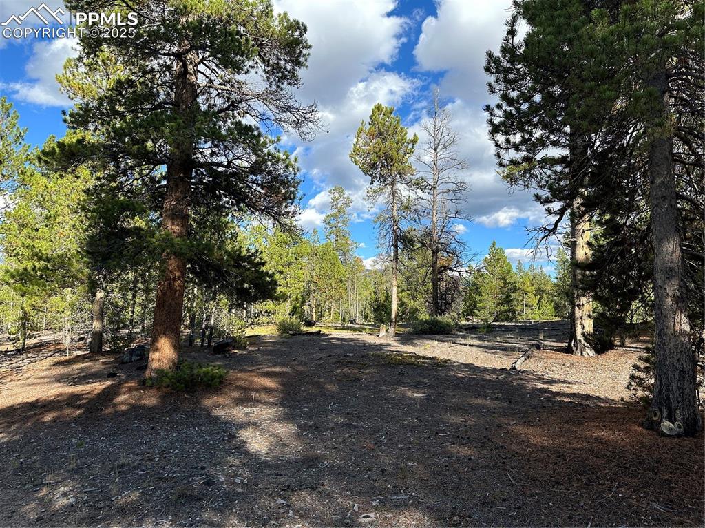 143 Fir Drive Leadville CO 80461