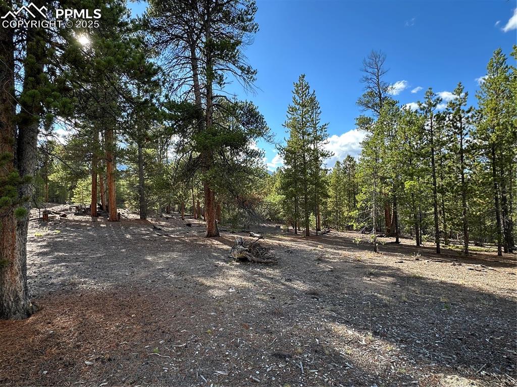 143 Fir Drive Leadville CO 80461