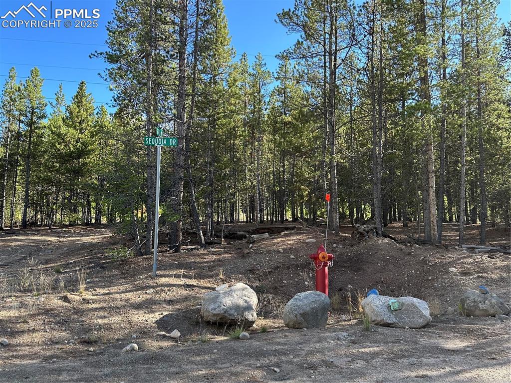 143 Fir Drive Leadville CO 80461