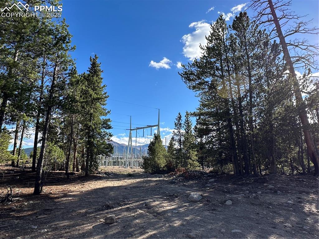 143 Fir Drive Leadville CO 80461