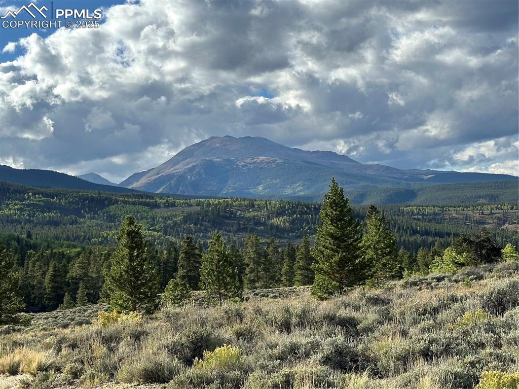 143 Fir Drive Leadville CO 80461