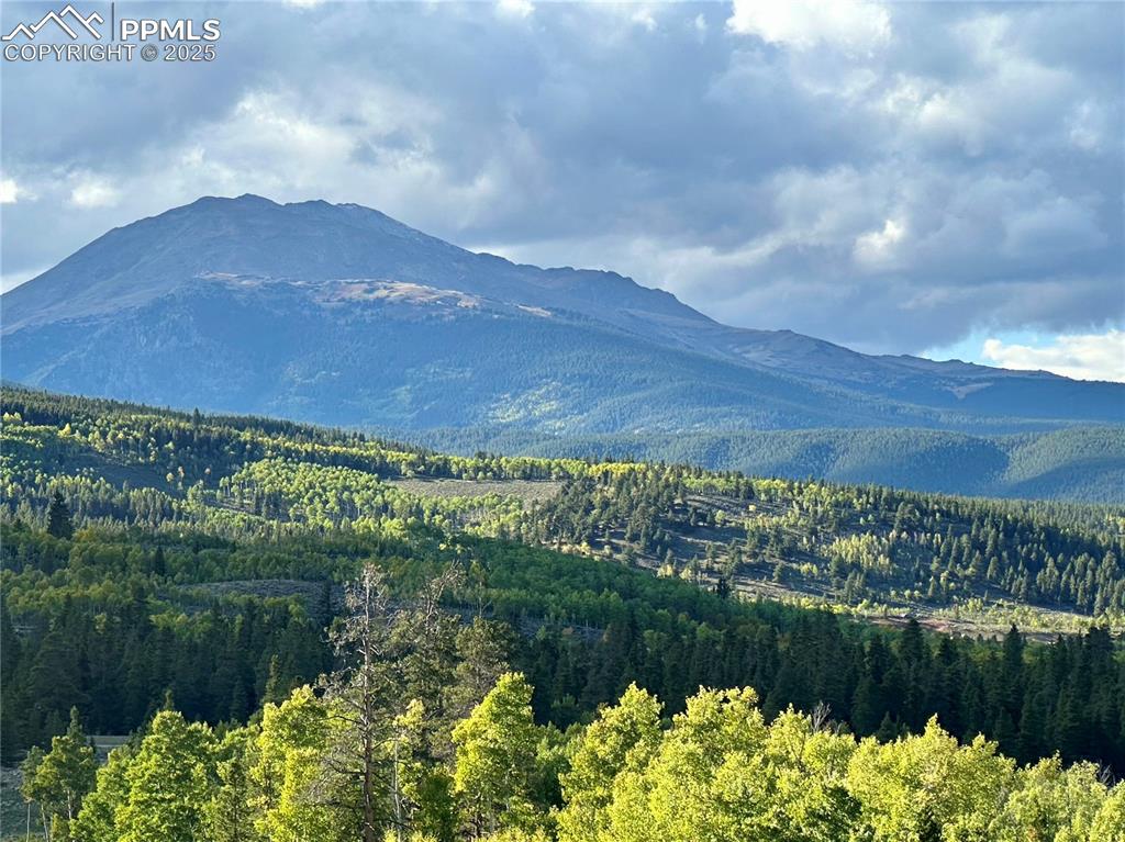 143 Fir Drive Leadville CO 80461