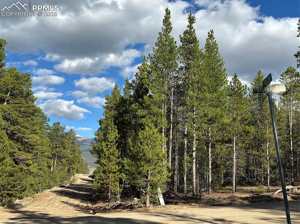 143 Fir Drive Leadville CO 80461