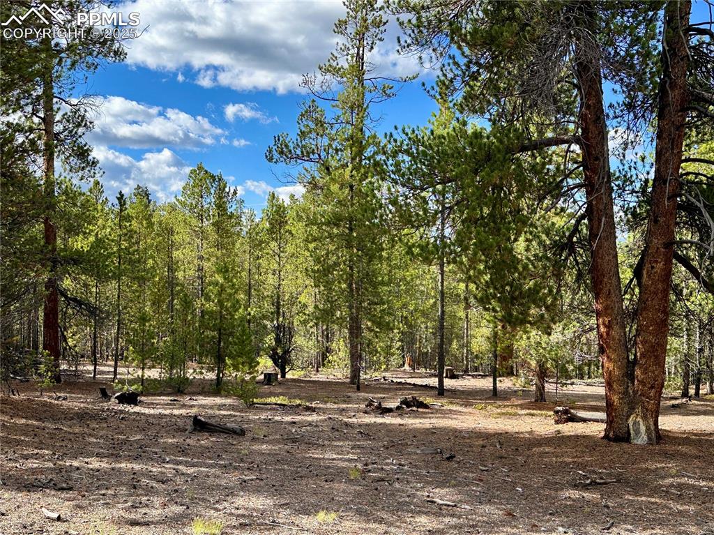 143 Fir Drive Leadville CO 80461