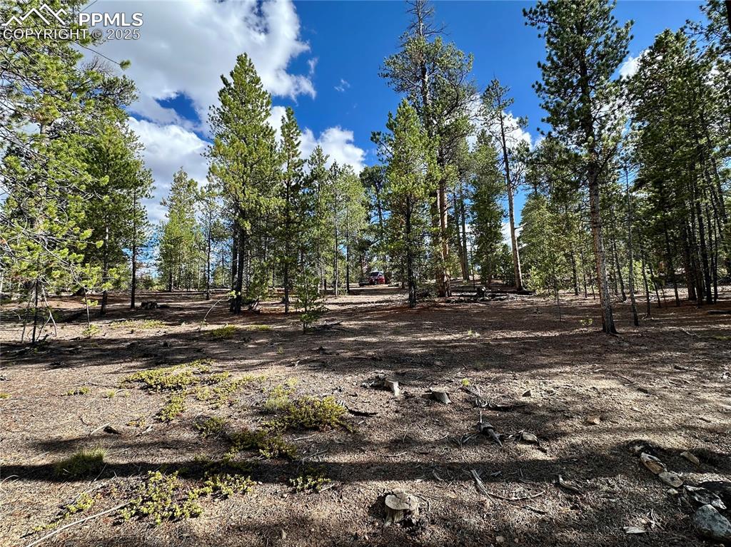 143 Fir Drive Leadville CO 80461