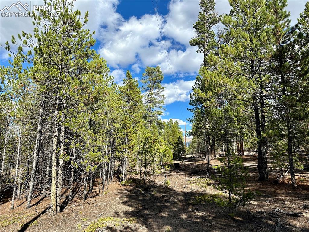 143 Fir Drive Leadville CO 80461