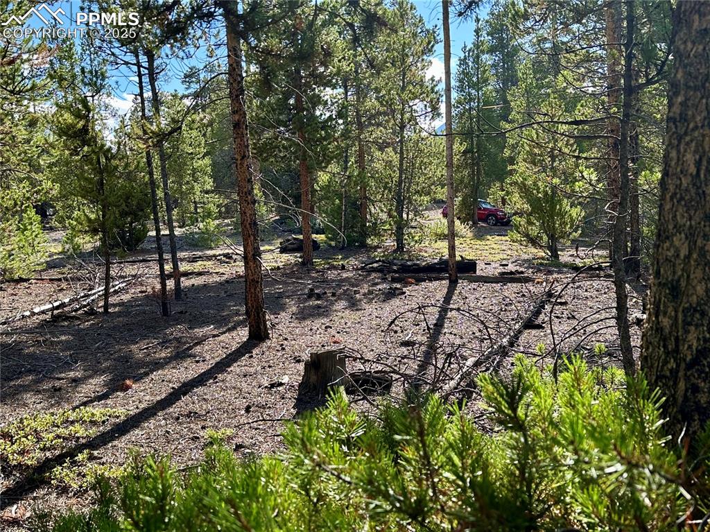 143 Fir Drive Leadville CO 80461
