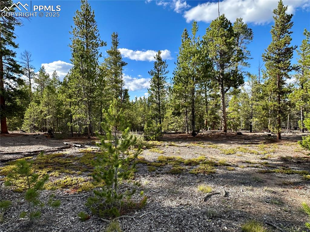 143 Fir Drive Leadville CO 80461