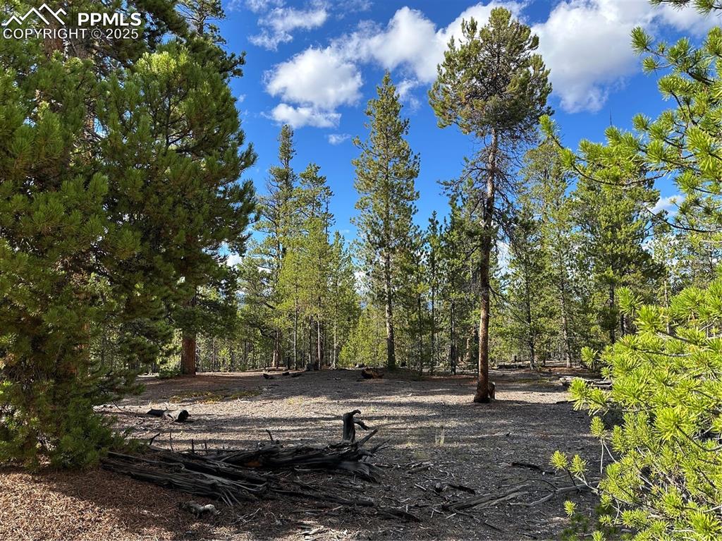 143 Fir Drive Leadville CO 80461