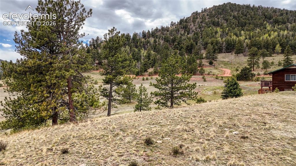 281 Nickel Plate Road Cripple Creek CO 80813