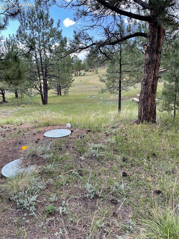330 Arrowhead Drive Florissant CO 80816