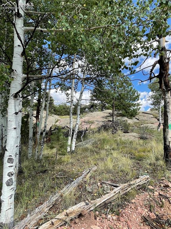 330 Arrowhead Drive Florissant CO 80816