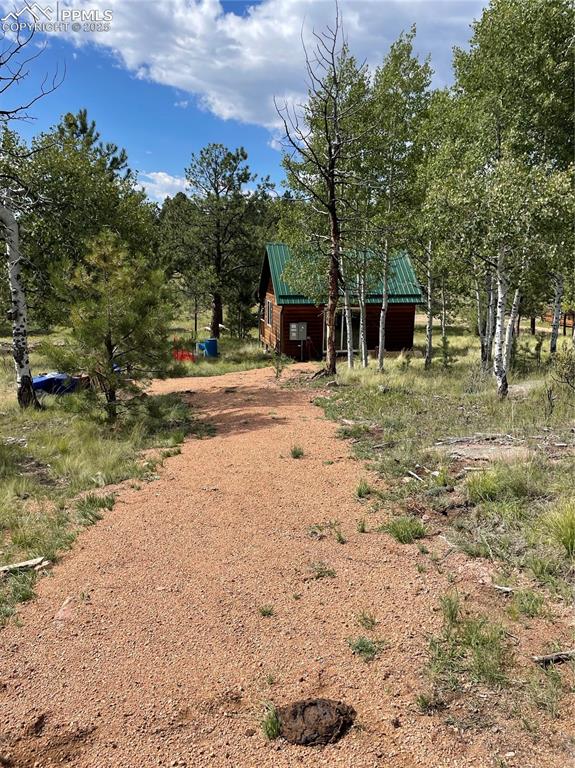 330 Arrowhead Drive Florissant CO 80816