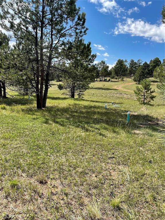 330 Arrowhead Drive Florissant CO 80816