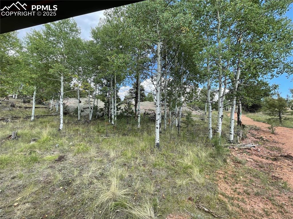 330 Arrowhead Drive Florissant CO 80816