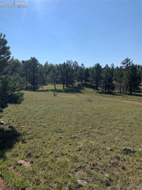 330 Arrowhead Drive Florissant CO 80816