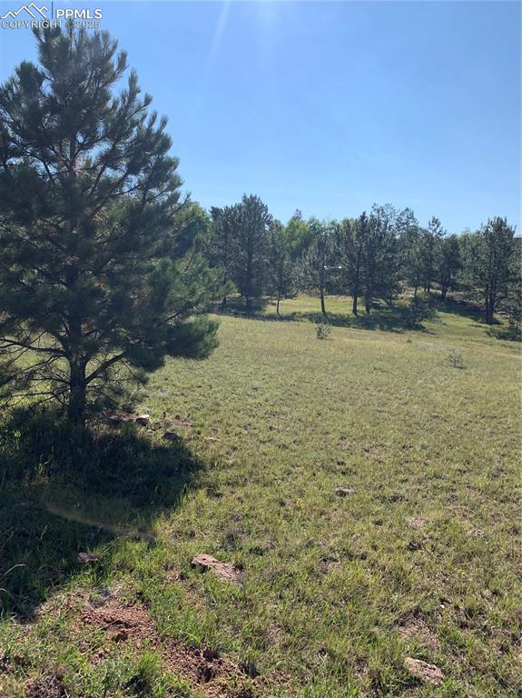 330 Arrowhead Drive Florissant CO 80816