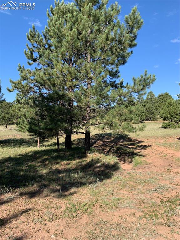 330 Arrowhead Drive Florissant CO 80816
