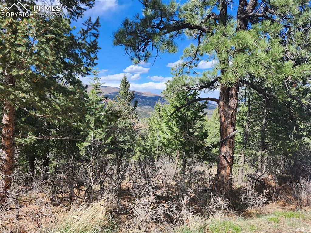 292 Sugarloaf Road Manitou Springs CO 80829