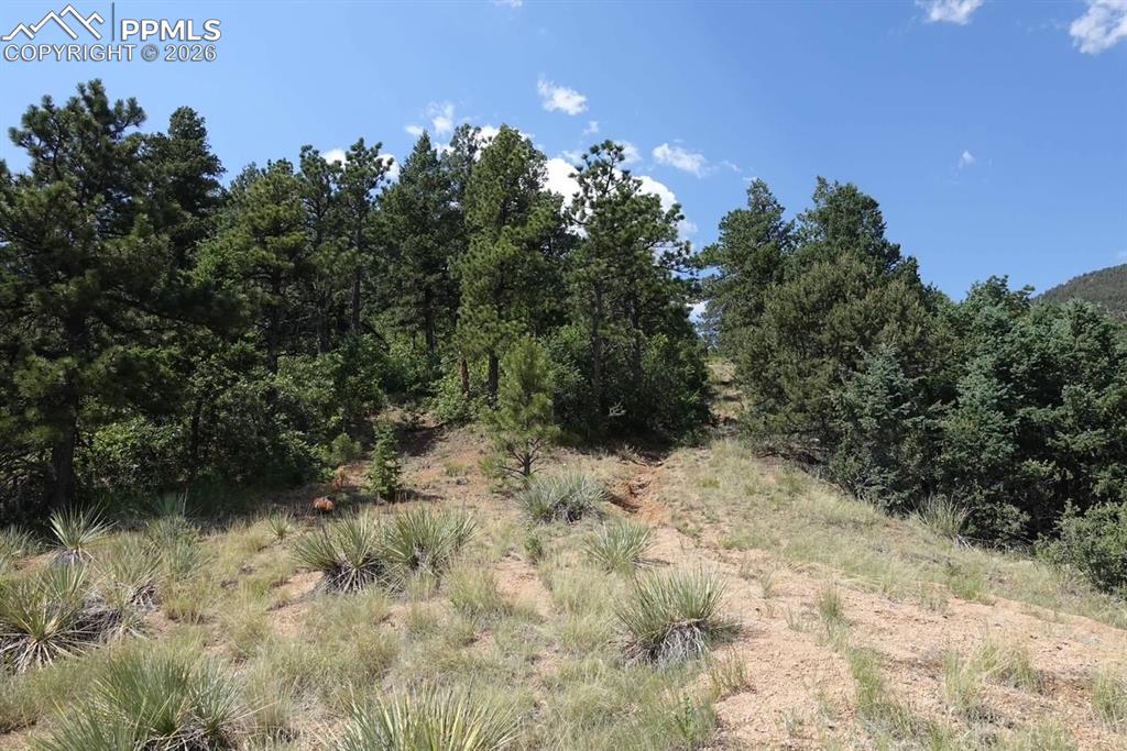 292 Sugarloaf Road Manitou Springs CO 80829