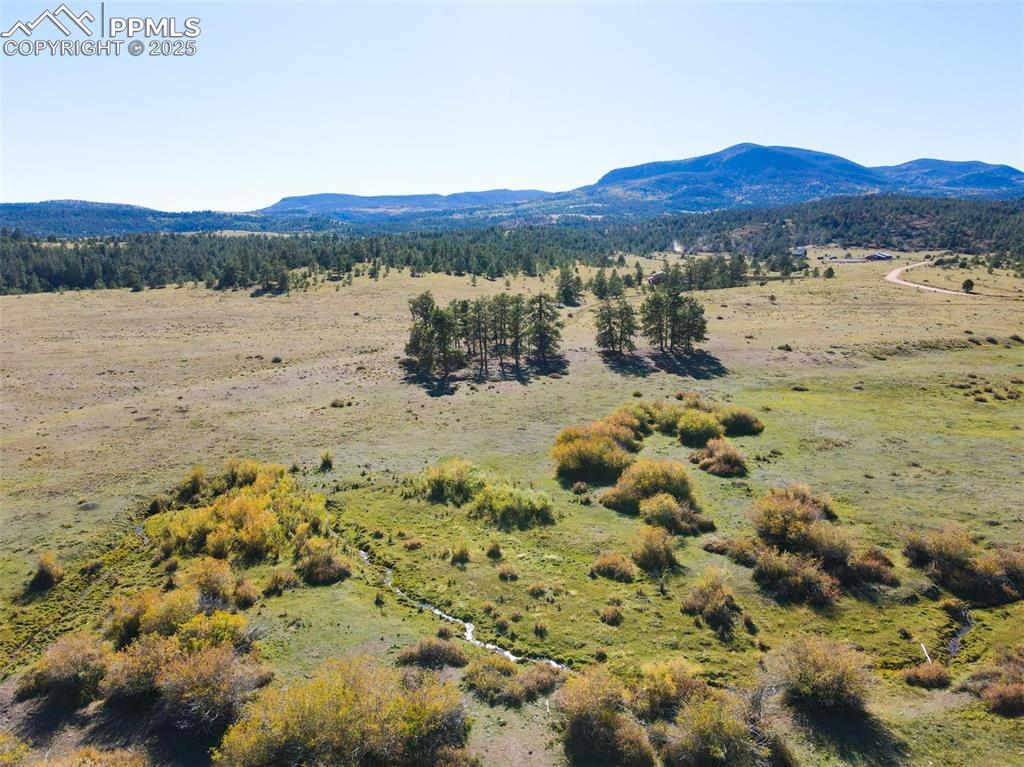 Rosebush Road Canon City CO 81212