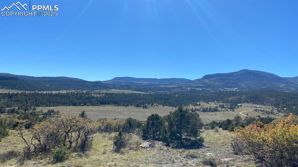 Rosebush Road Canon City CO 81212