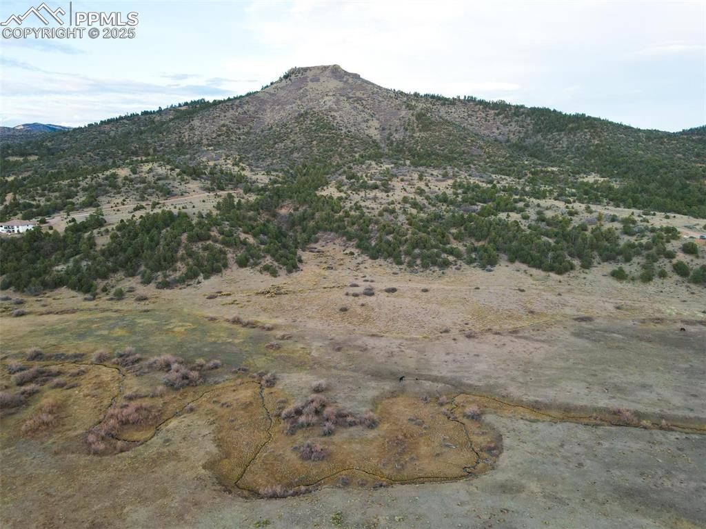 Rosebush Road Canon City CO 81212