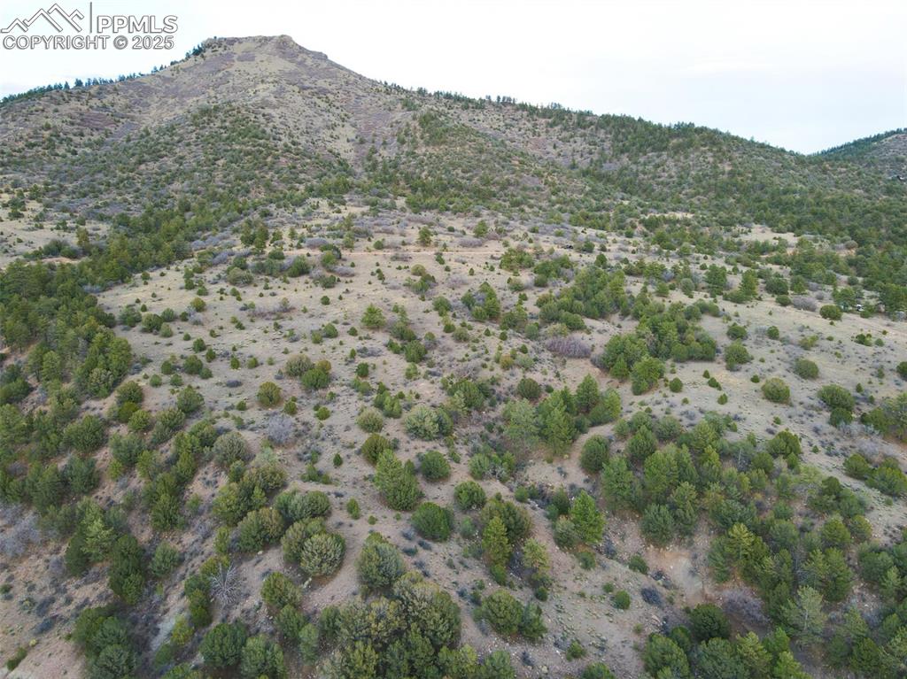 Rosebush Road Canon City CO 81212