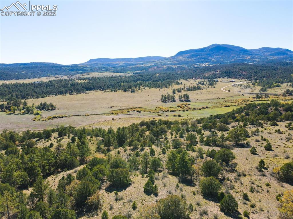 Rosebush Road Canon City CO 81212
