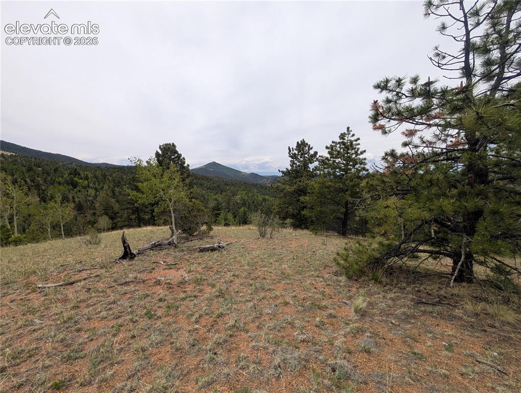 16 Princess Lane Cripple Creek CO 80813