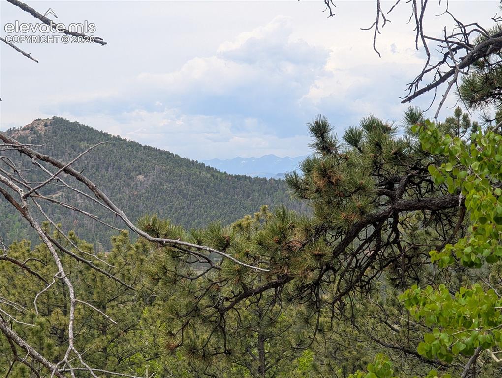 16 Princess Lane Cripple Creek CO 80813