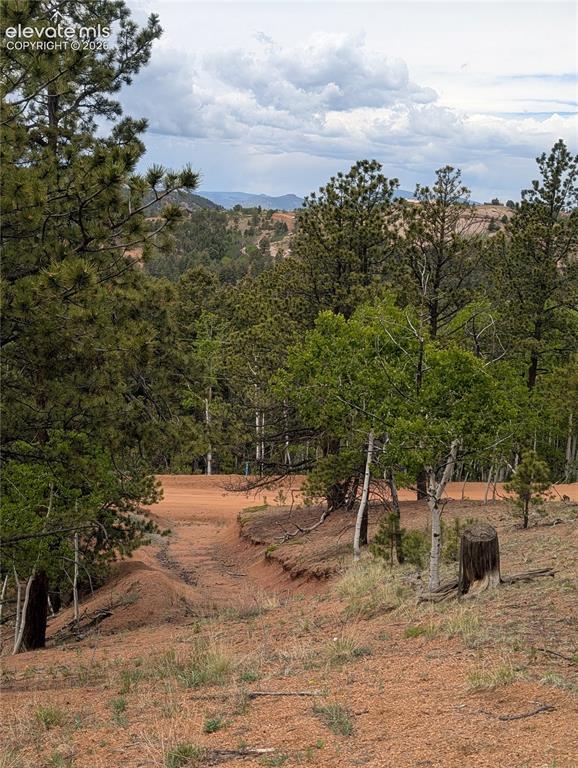 16 Princess Lane Cripple Creek CO 80813