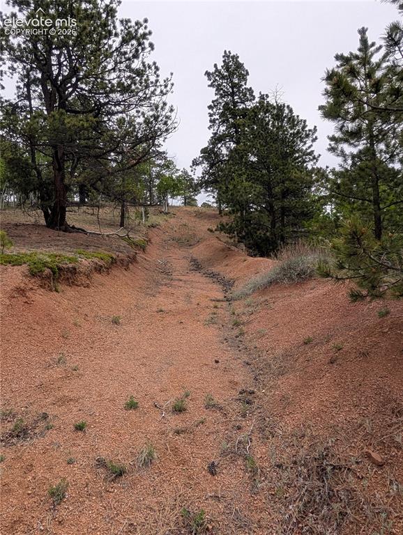 16 Princess Lane Cripple Creek CO 80813