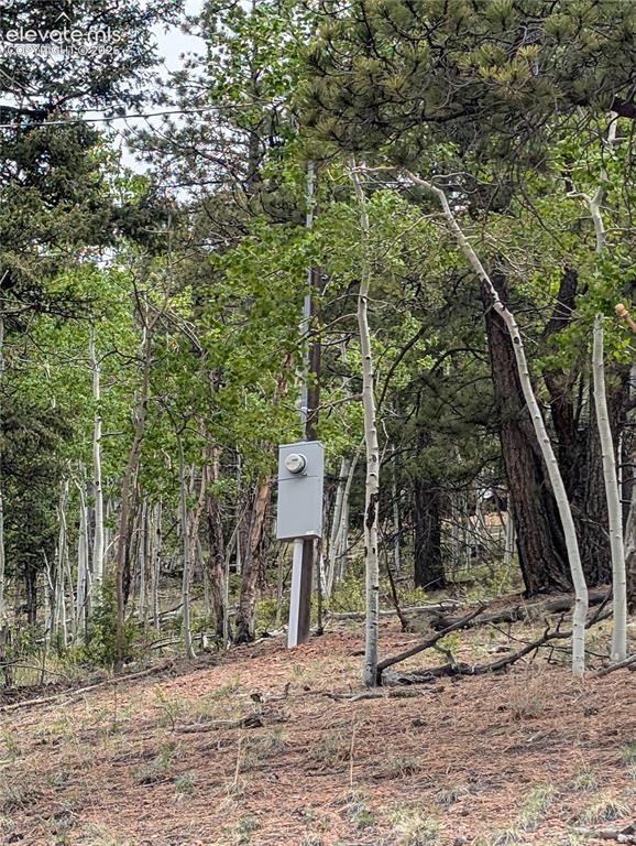 16 Princess Lane Cripple Creek CO 80813