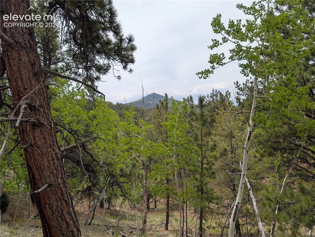 16 Princess Lane Cripple Creek CO 80813
