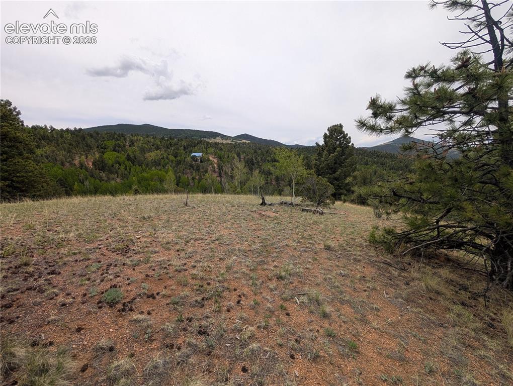 16 Princess Lane Cripple Creek CO 80813