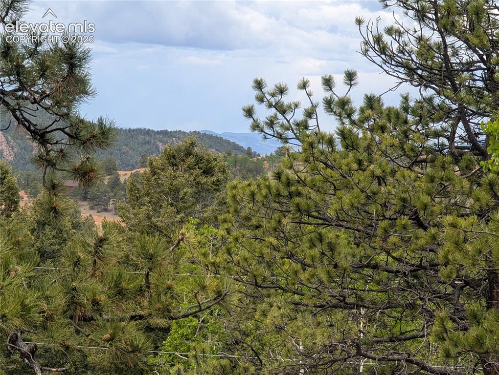 16 Princess Lane Cripple Creek CO 80813