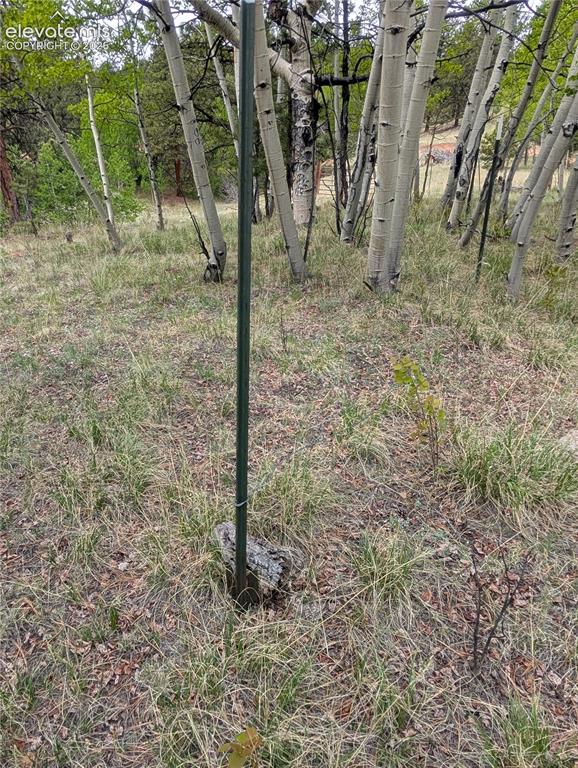 16 Princess Lane Cripple Creek CO 80813