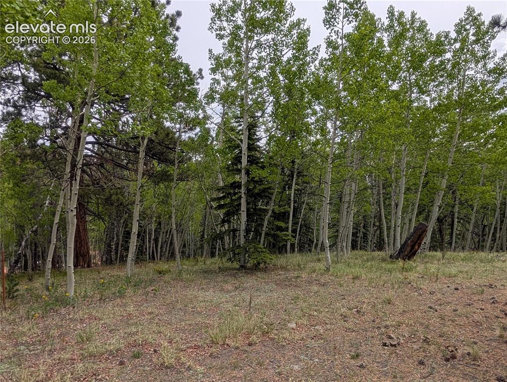 16 Princess Lane Cripple Creek CO 80813