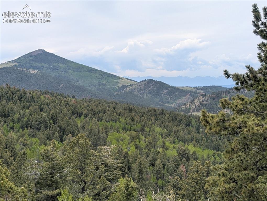 16 Princess Lane Cripple Creek CO 80813