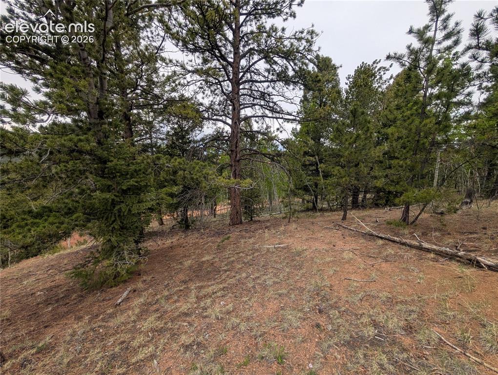16 Princess Lane Cripple Creek CO 80813