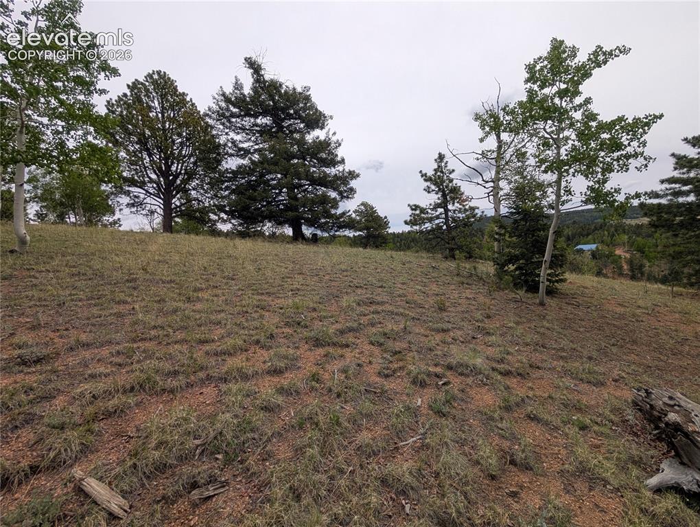 16 Princess Lane Cripple Creek CO 80813