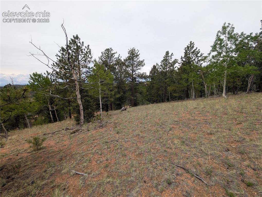 16 Princess Lane Cripple Creek CO 80813