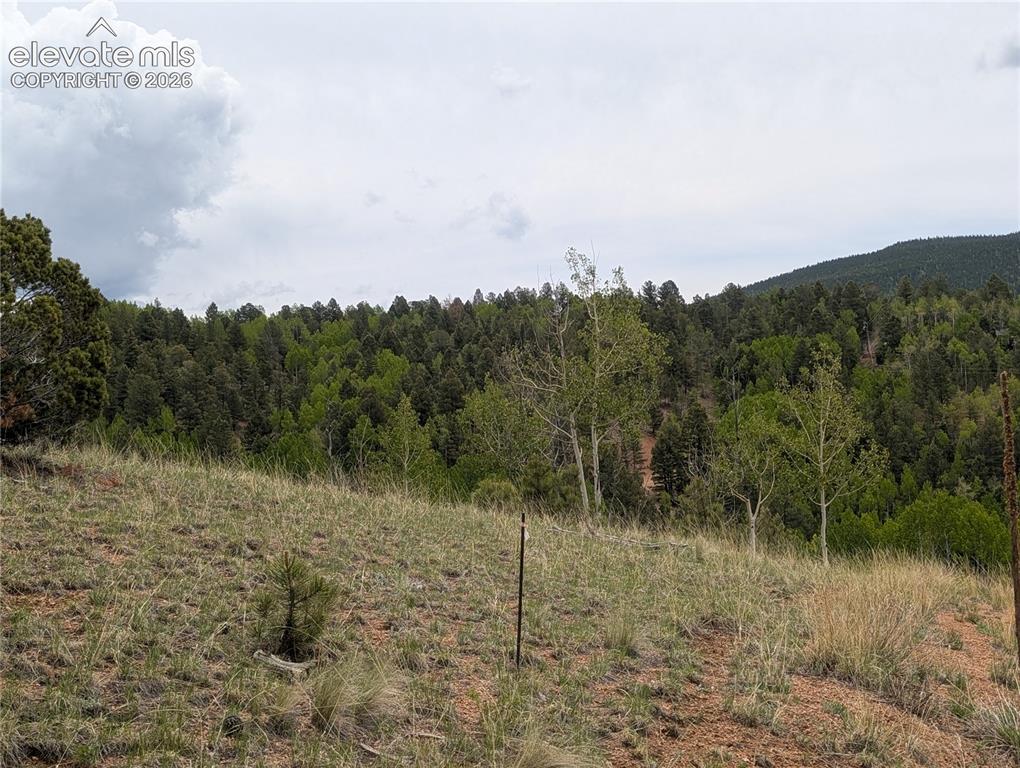 16 Princess Lane Cripple Creek CO 80813