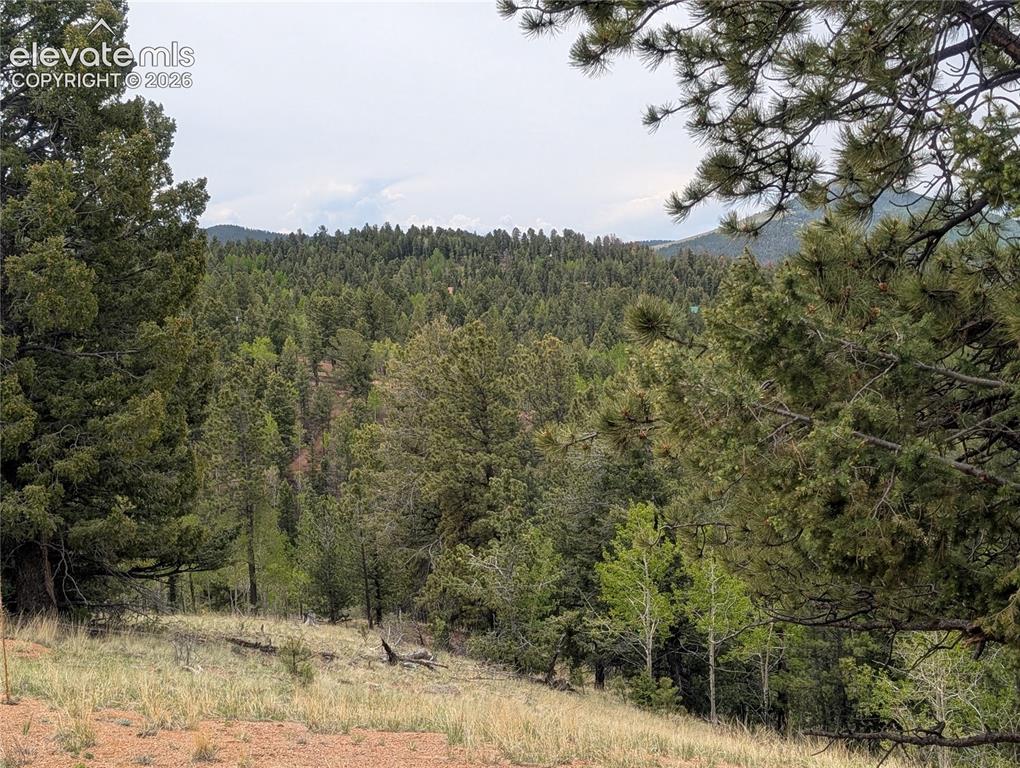 16 Princess Lane Cripple Creek CO 80813