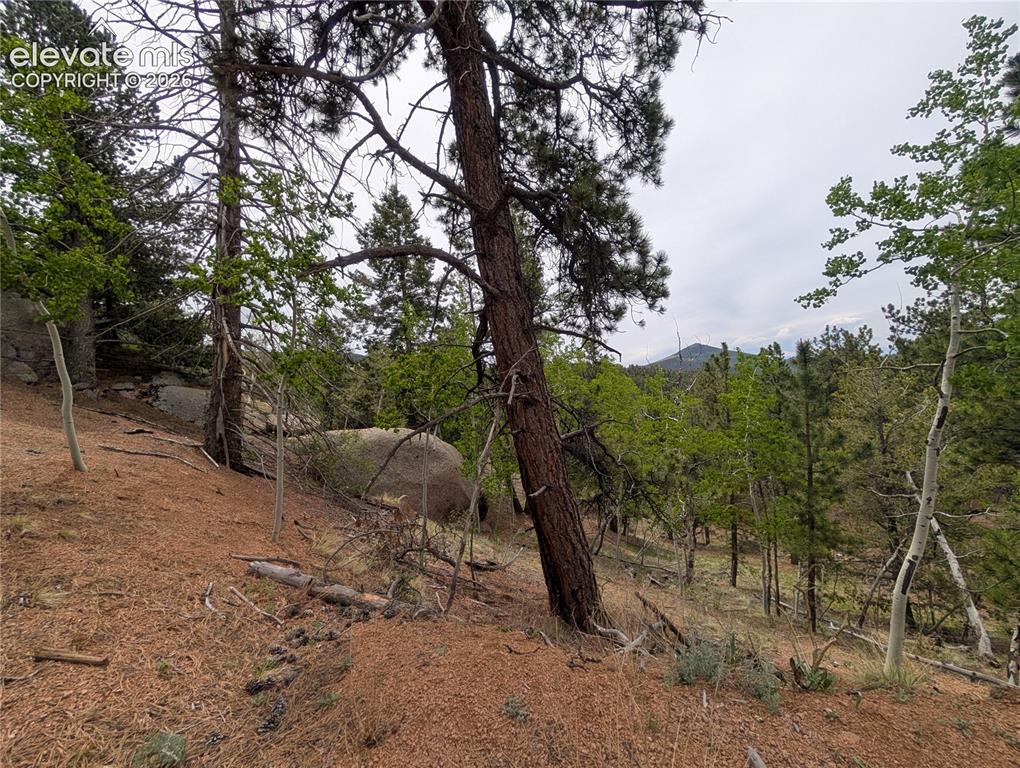 16 Princess Lane Cripple Creek CO 80813