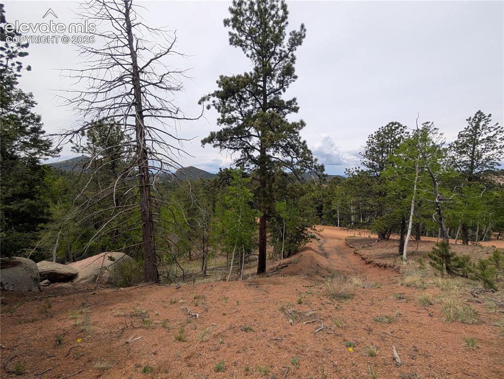 16 Princess Lane Cripple Creek CO 80813